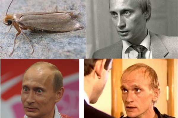 Что за площадка кракен