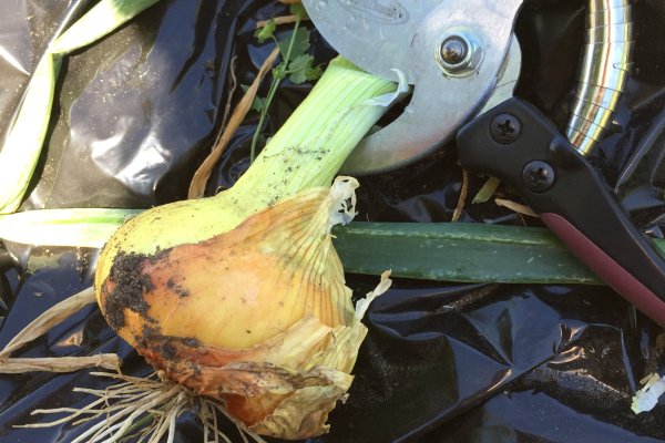 Кракен наркошоп ссылка