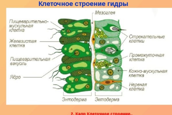 Кракен наркоплощадка