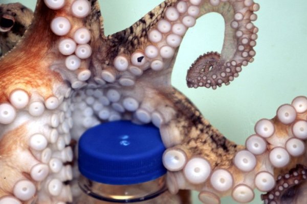 Регистрация на сайте кракен