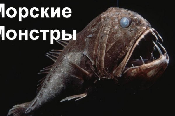 Kraken в россии