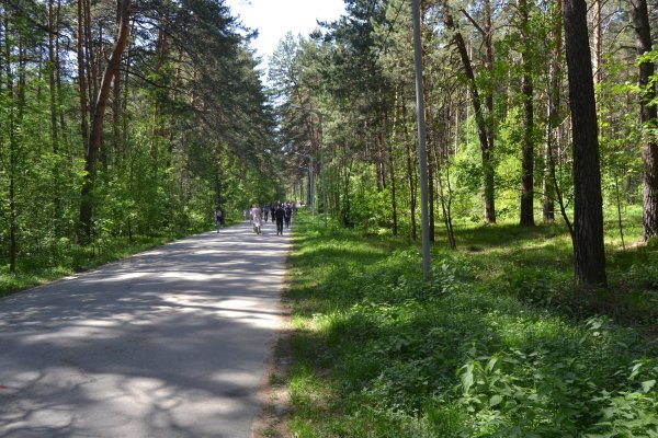 Кракен маркет только через тор скачать